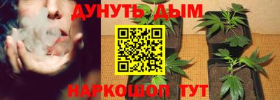 мяу мяу мука Пыть-Ях