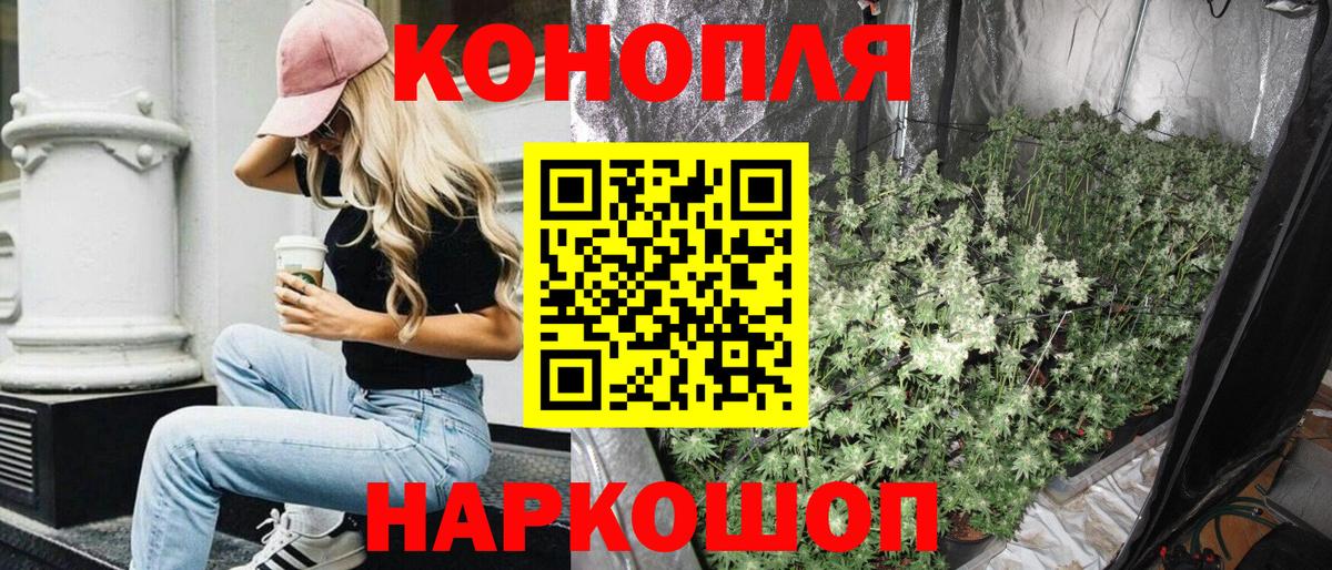 Каннабис SATIVA & INDICA Сосновоборск